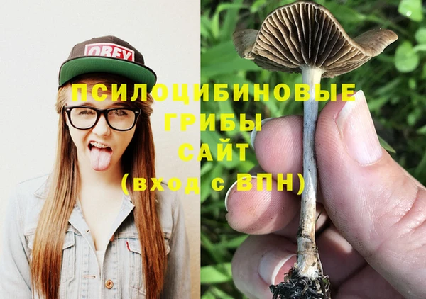 метамфетамин Аркадак